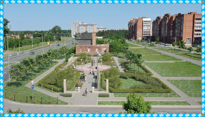 36