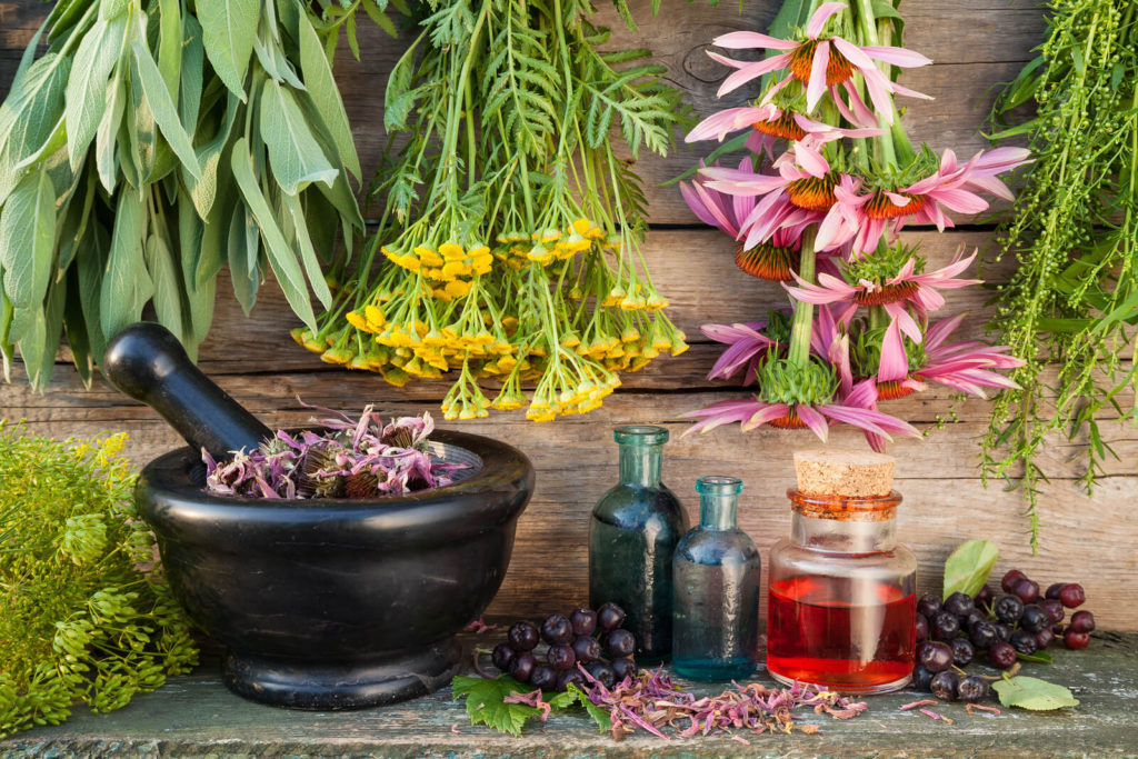 treatment-cholecystitis-herbs